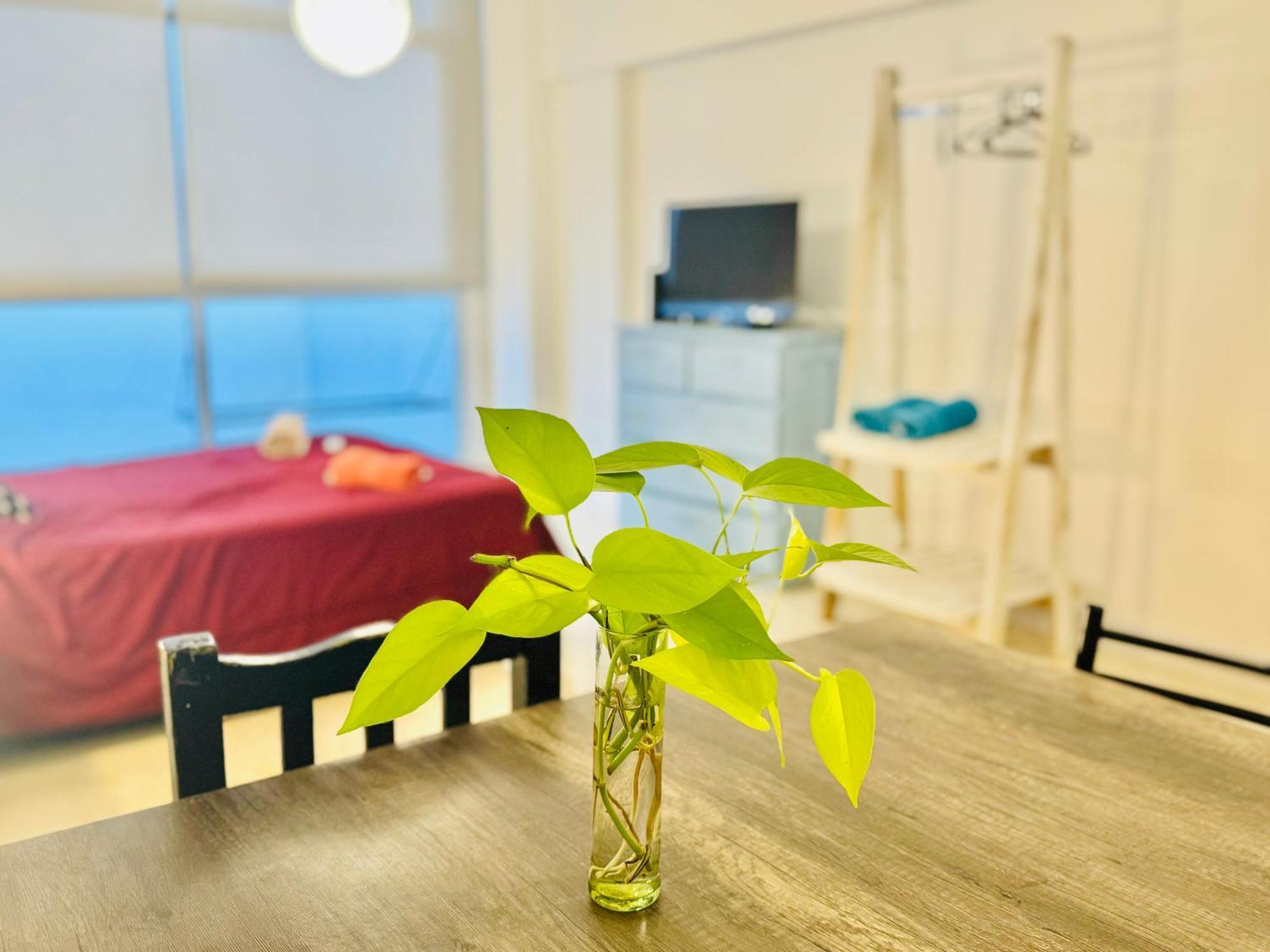 Cool Apts Apartamento Buenos Aires